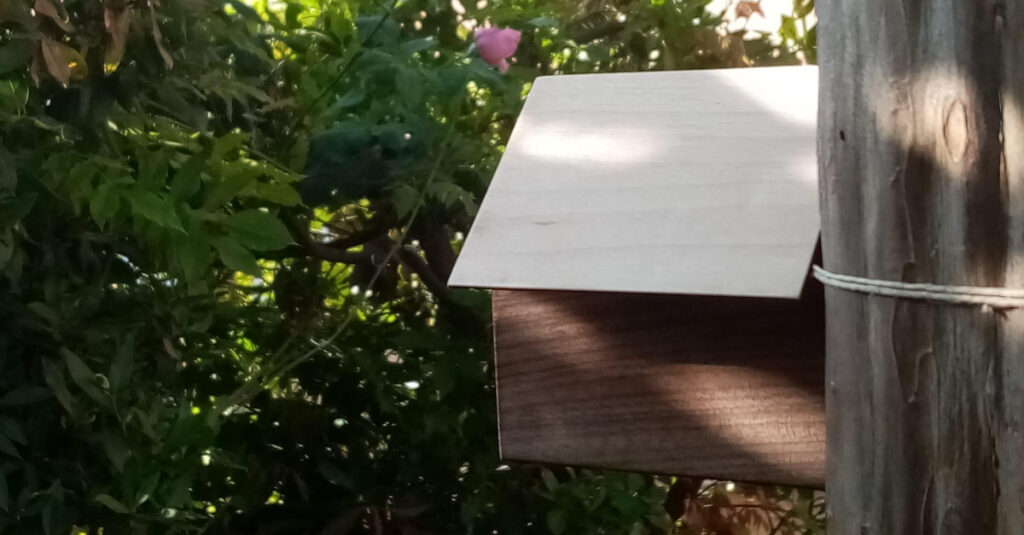 Una Passivhaus abraza la naturaleza. Nuestra casita para abejas ecophonic se suspende en los árboles.