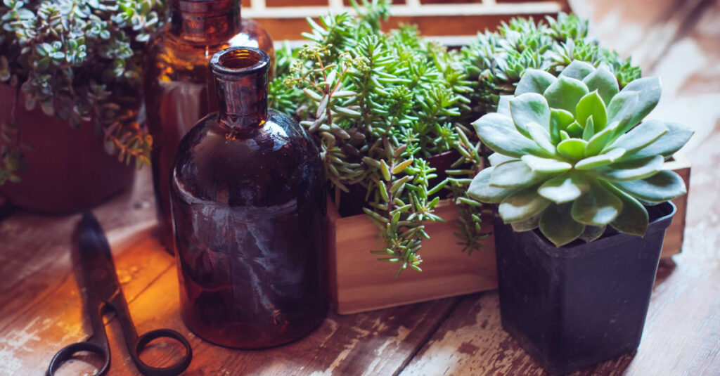 Las plantas en una garden room disfrutan la música que suena en tu ecophonic.